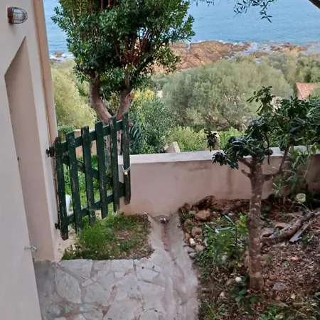 Appartement Albatros-vue Mer Panoramique- Wifi Sari-Solenzara