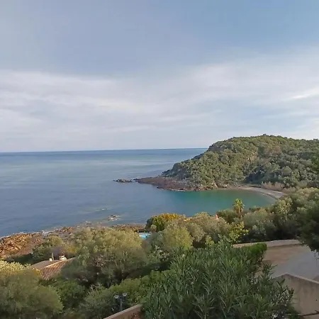 Albatros-vue Mer Panoramique- Wifi Apartment