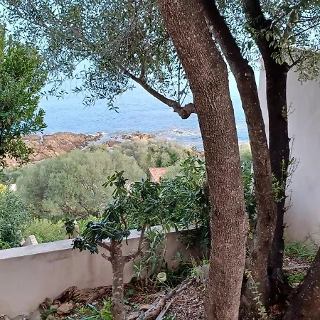 Apartment Albatros-vue Mer Panoramique- Wifi *